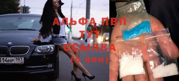 стаф Каменка