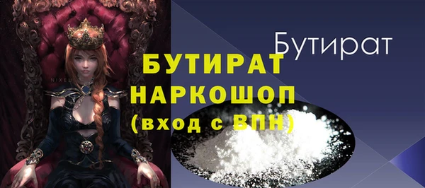 стаф Каменка