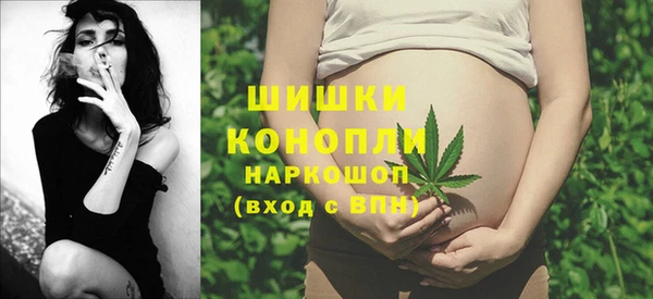 стаф Каменка