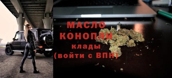 стаф Каменка