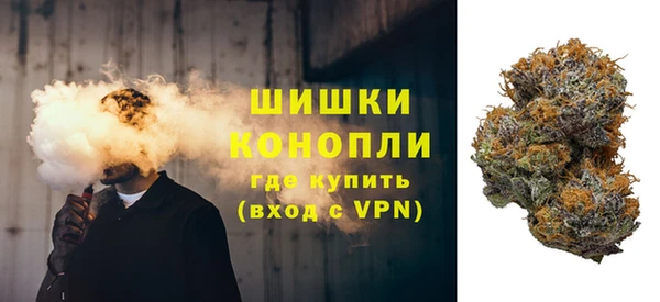 стаф Каменка