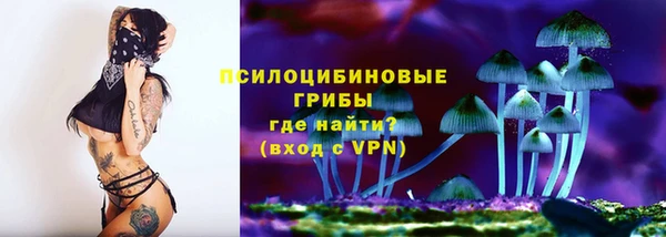 гидропоника Каменногорск