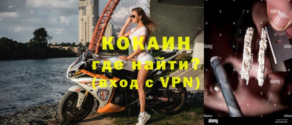 стаф Каменка