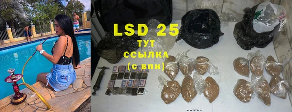 стаф Каменка