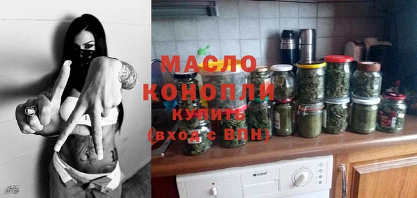 стаф Каменка