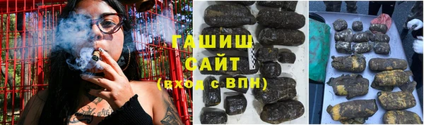 стаф Каменка