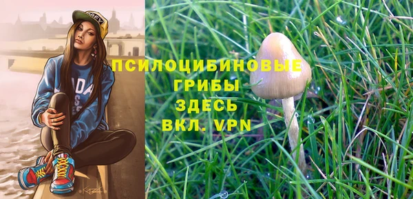 гидропоника Каменногорск