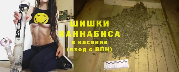 гидропоника Каменногорск